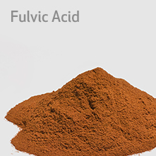buttom-fulvic-acid