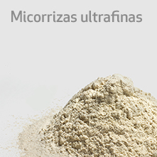 ultrafine-mycorrhiza-es-square